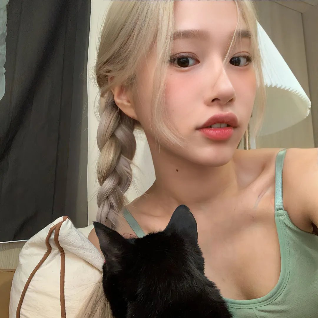 MH370：消失的航班